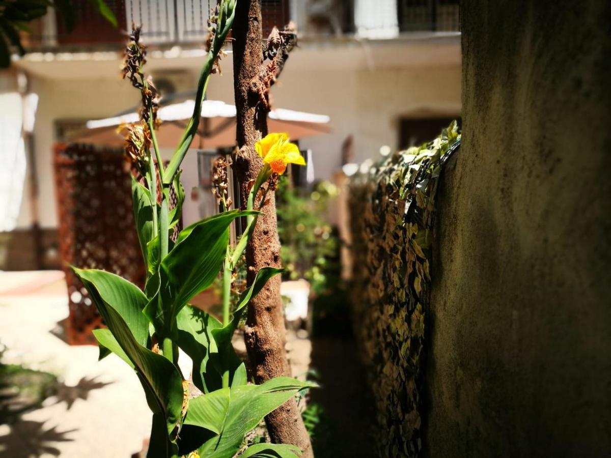 Bella Palermo Bed & Breakfast エクステリア 写真