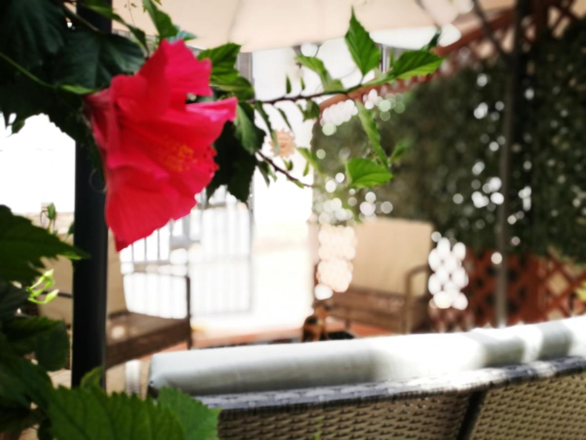 Bella Palermo Bed & Breakfast エクステリア 写真