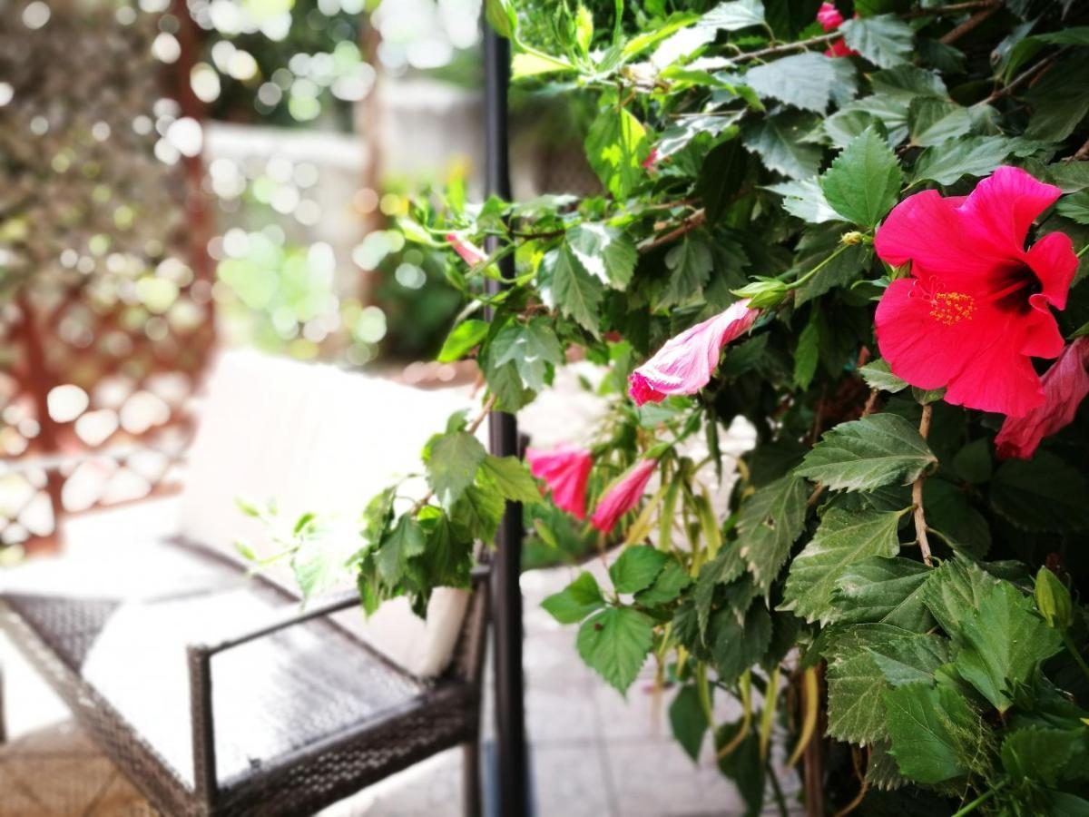 Bella Palermo Bed & Breakfast エクステリア 写真