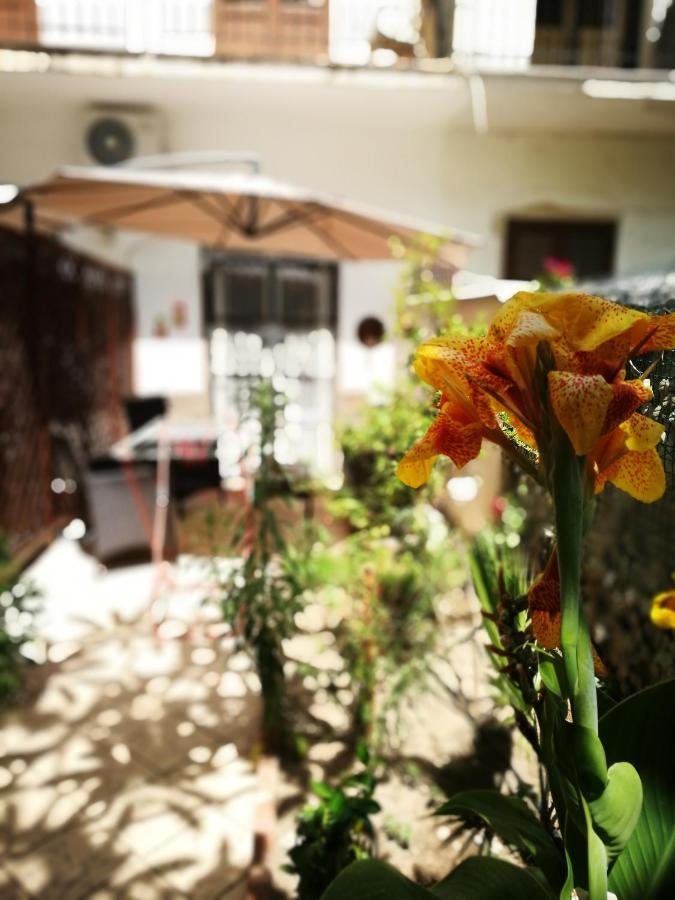 Bella Palermo Bed & Breakfast エクステリア 写真